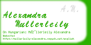 alexandra mullerleily business card